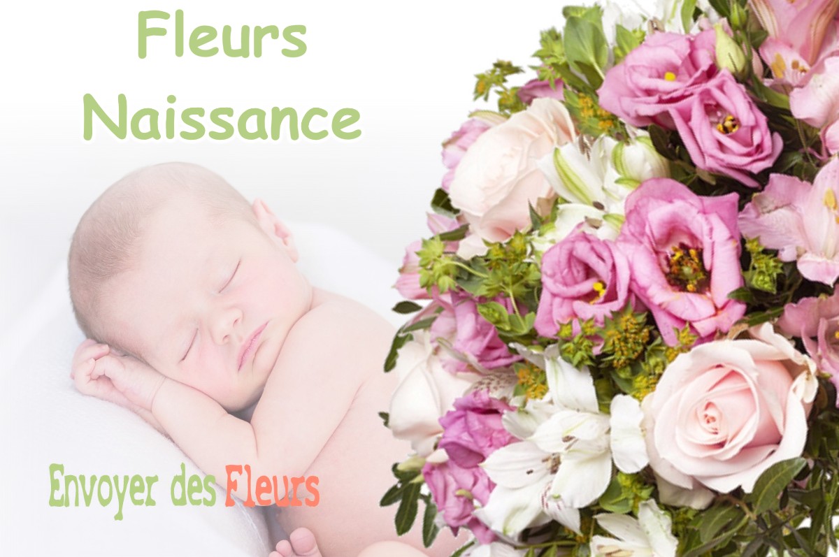 lIVRAISON FLEURS NAISSANCE à AUGERVILLE-LA-RIVIERE